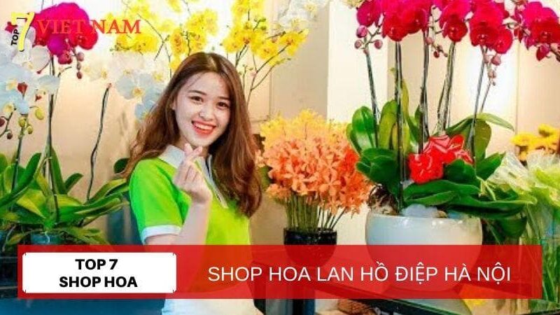Top 7 Shop Hoa Lan Hồ Điệp Hà Nội