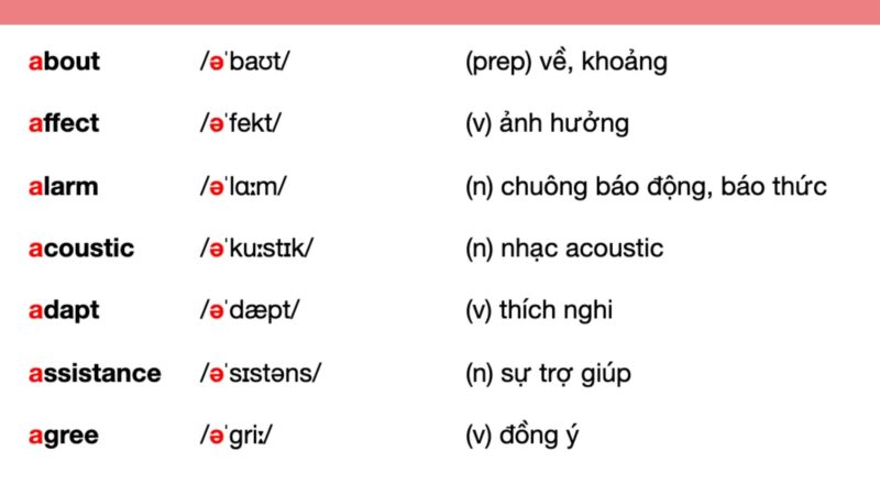 Phân Biệt Cách Phát Âm /ə/ và /ɜ:/ Trong Tiếng Anh: Bí Quyết Cho Lời Nói Chuẩn Như Người Bản Xứ