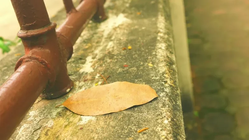 Giữa Lòng Dòng Đời Xô Đẩy: Phân Tích Tâm Lý Nhân Vật Anh Du Trong Truyện Ngắn “Chết Con Mực” Của Nam Cao