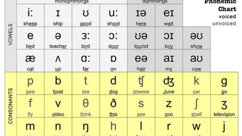 Lấy Lại Gốc Tiếng Anh: 10 Cách Học Hiệu Quả Cho Người Mới Bắt Đầu