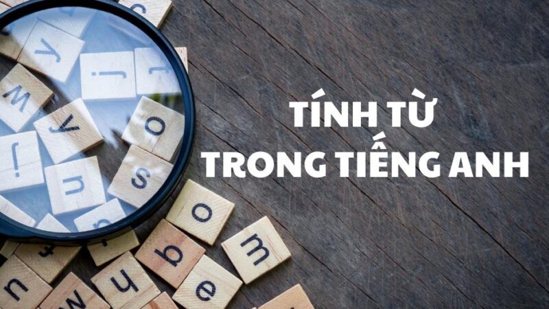 Nắm Trọn Bí Kíp Sử Dụng Tính Từ Trong Tiếng Anh Như Người Bản Ngữ