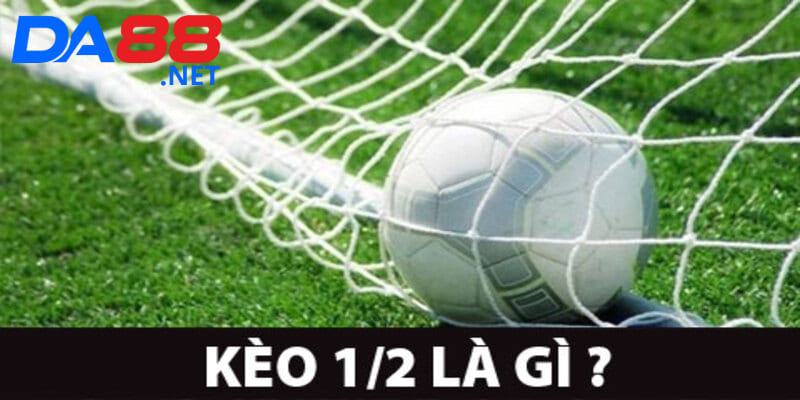 Bí Quyết Đọc Kèo Hiệu Quả Từ Cao Thủ