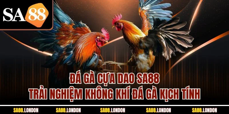 Đá Gà Cựa Dao SA88
